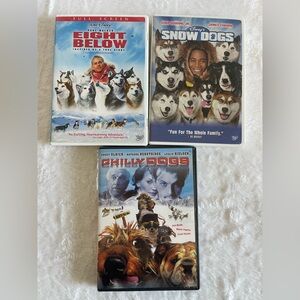 Eight below snow dogs chilly dogs